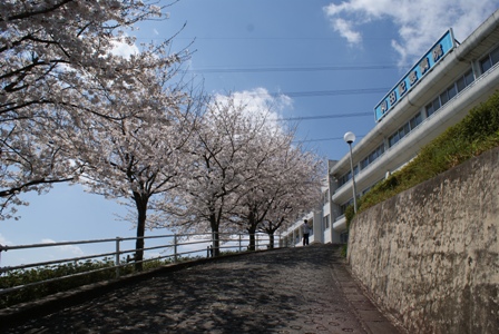 Hospital. 583m until the medical corporation Hisakazu Board Wada Memorial Hospital (Hospital)