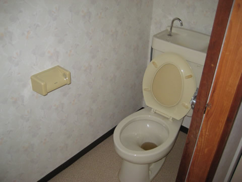 Toilet