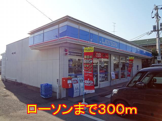 Convenience store. 300m until Lawson (convenience store)