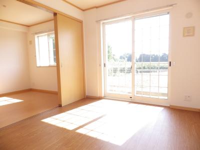 Living and room. Living