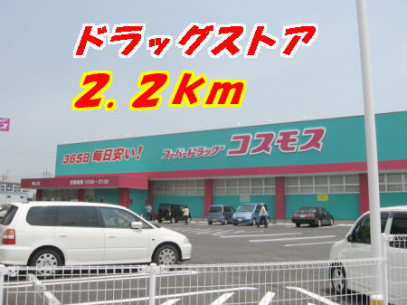 Dorakkusutoa. 2200m to the cosmos (drugstore)