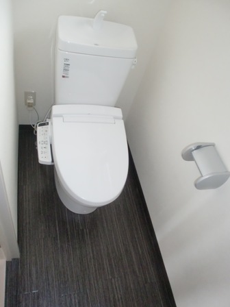 Toilet. Isomorphism Current state priority