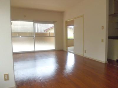 Living and room. Living