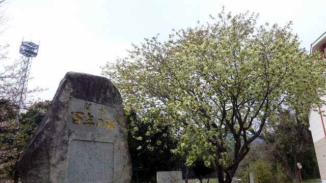 Primary school. 1100m until the Municipal foot elementary school (elementary school)