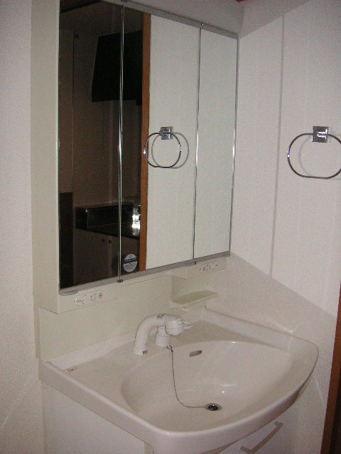 Washroom. Shampoo dresser