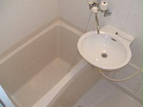 Bath. The bathroom is large than expected! 