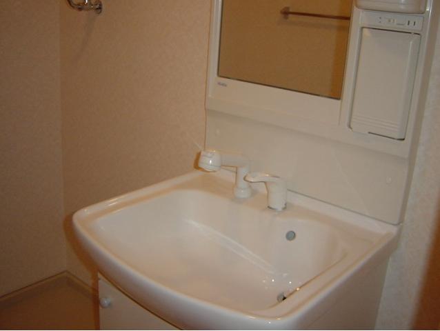 Washroom. Shampoo dresser