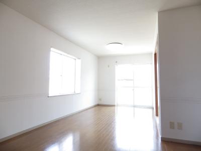 Living and room. Living