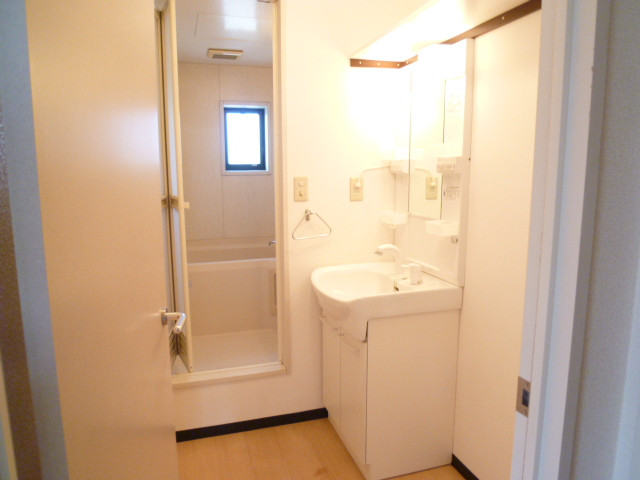 Washroom. Cleaning is also effortless shampoo dresser