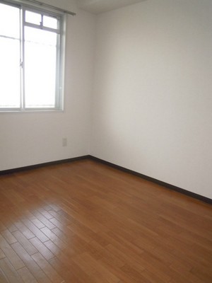 Living and room. Living room 3