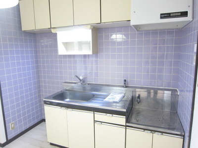 Kitchen. Storage is plenty of kitchen!