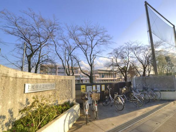 Primary school. 520m Ageo Municipal Shibakawa elementary school to elementary school