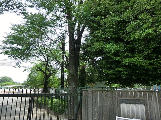 Primary school. Ageo 420m up to municipal square elementary school
