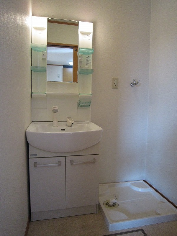 Washroom. Bathroom vanity