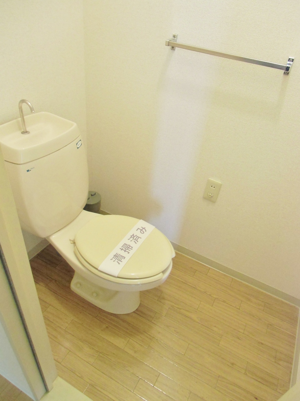 Toilet. It will be Western-style flush toilet
