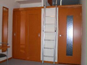 Living and room. And next to the full-length mirror in the closet, Continued-to-ceiling storage is characterized by.