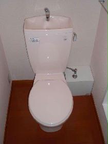 Toilet. A simple toilet space on the floor of the flooring.