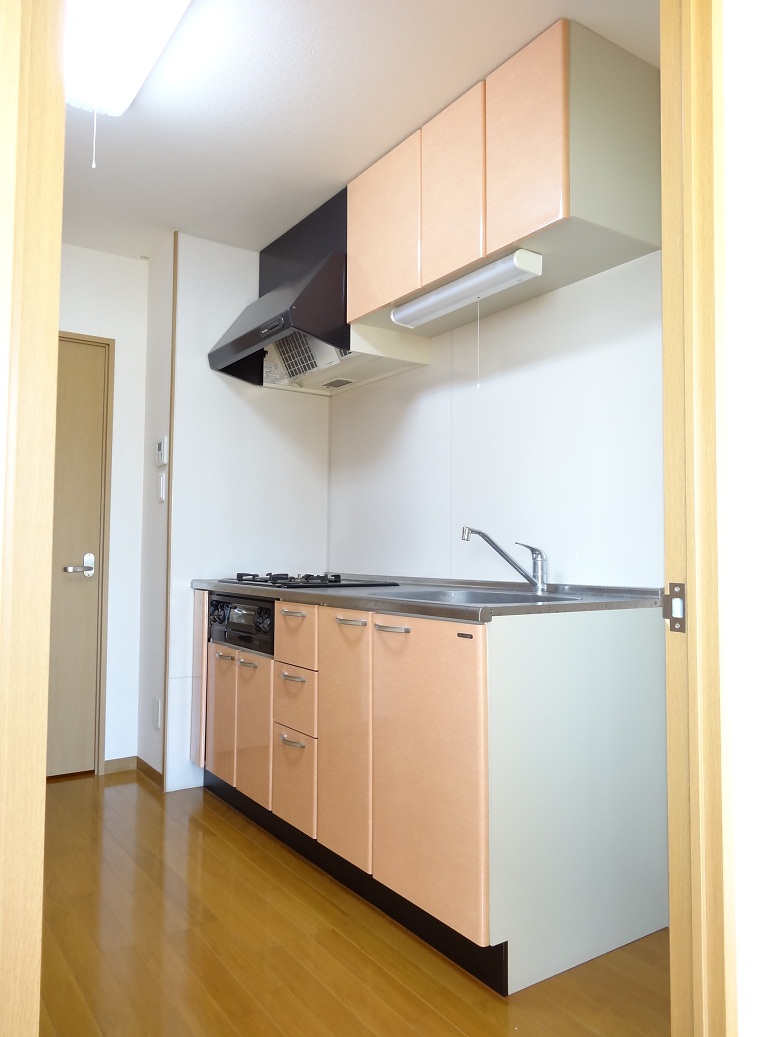 Kitchen. Housed plenty of kitchen! 