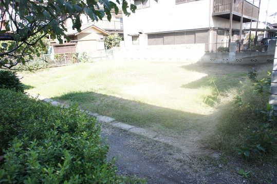 Local land photo. Local Photos