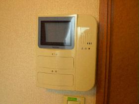 Other. No hurry steep visitor because the monitor with intercom.