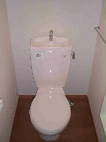 Toilet. It is a simple toilet with a towel hanging on the wall.