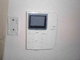 Other. You can check the visitor on the monitor.