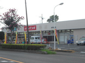 Other. Dorakkusugi (other) up to 200m