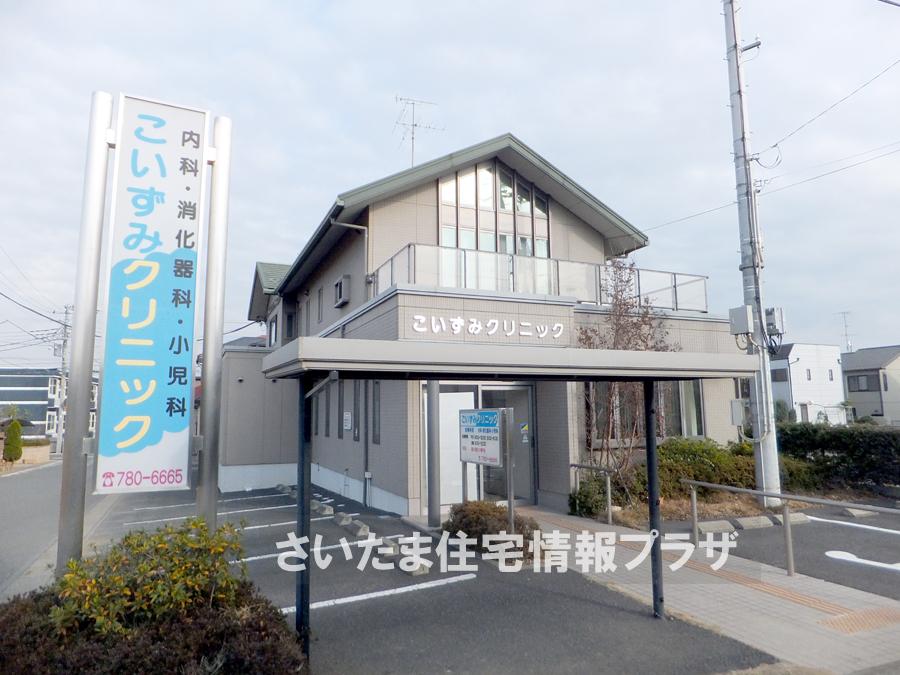 Other. Koizumi clinic