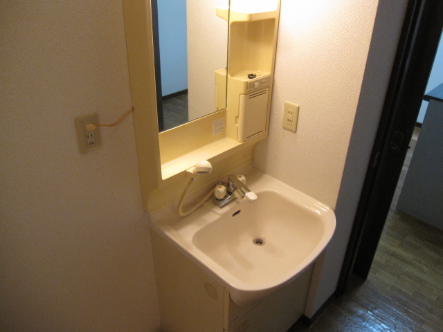 Washroom. Bathroom Vanity