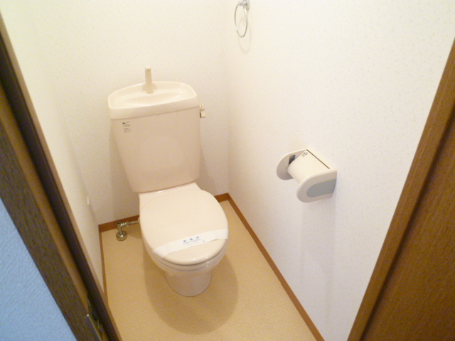 Toilet. Duck that she can also be changed to warm water washing toilet seat remove toilet lid