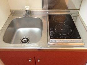 Kitchen. Type with electric stove 2-neck