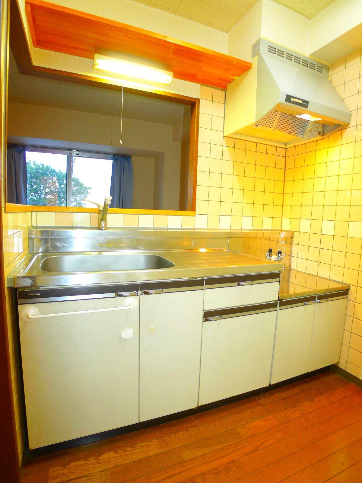 Kitchen. Independent face-to-face kitchen