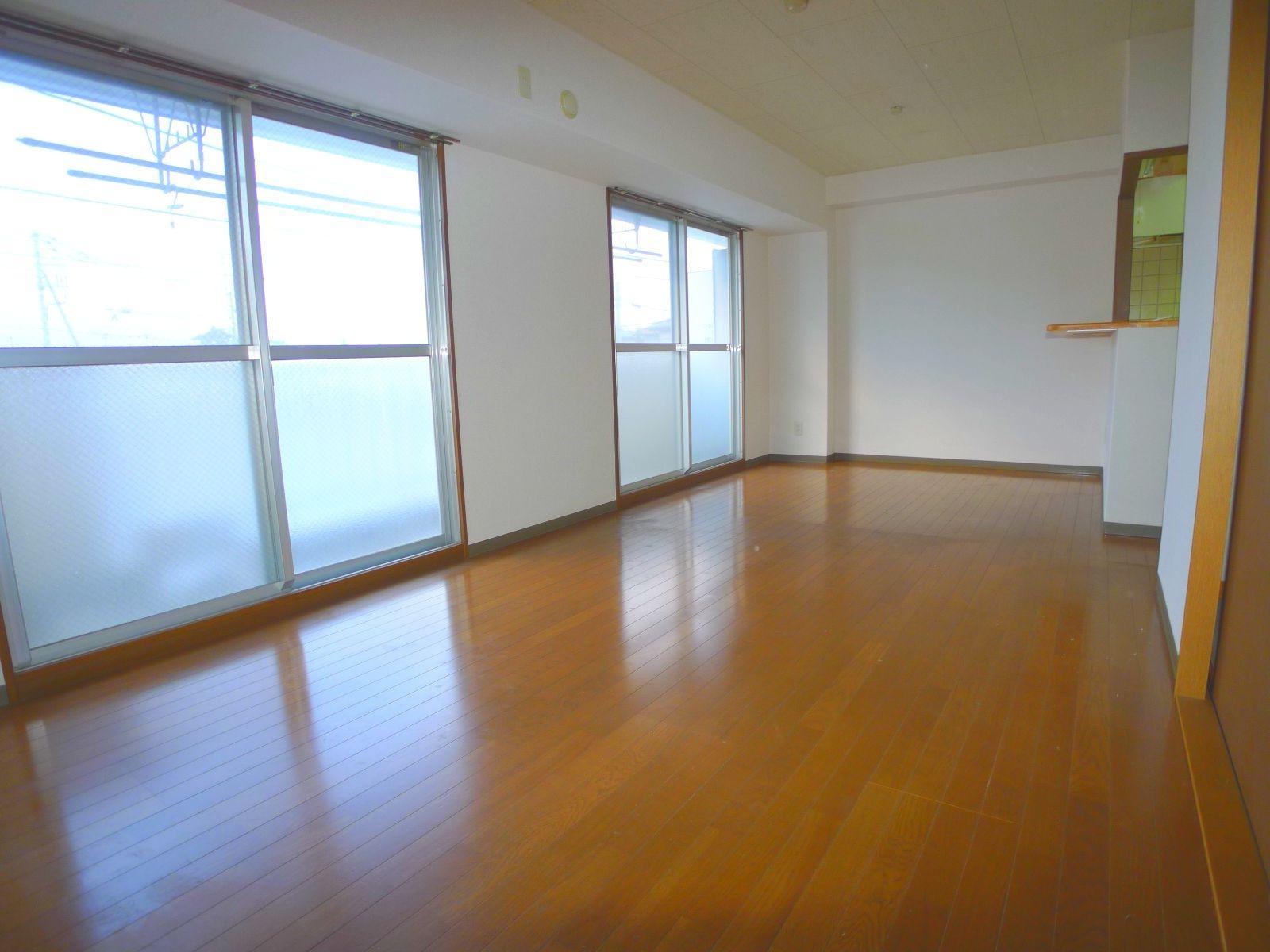 Living and room. LDK