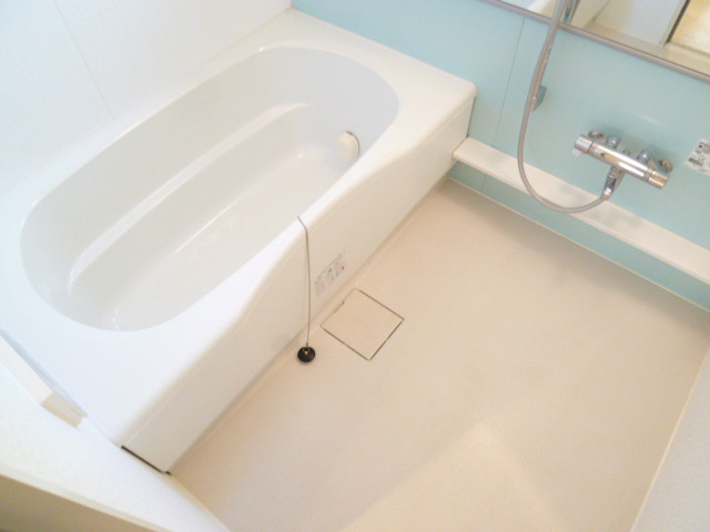 Bath. Reheating also there in winter warm comfortable bath time!