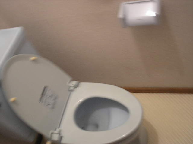 Toilet