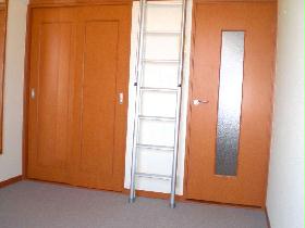 Living and room. Up the ladder to the loft. 