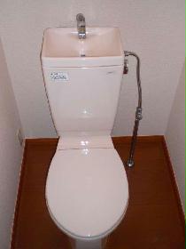 Toilet. It is pure white simple toilet. 