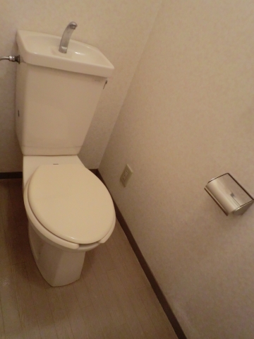 Toilet. Toilet