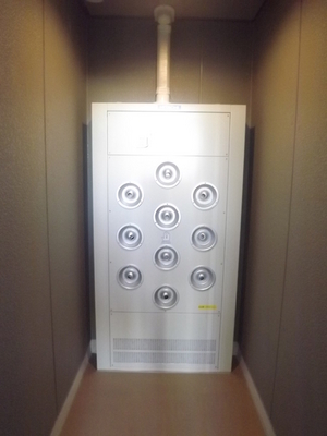 Other. ☆ Skip the pollen ☆