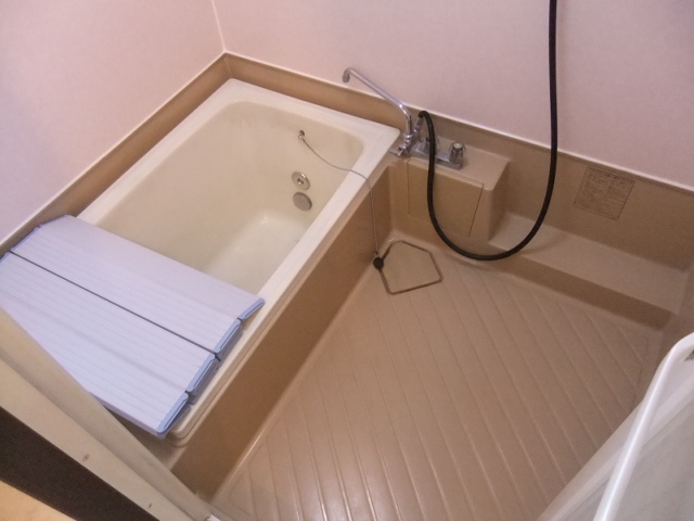 Bath. Spacious bathroom