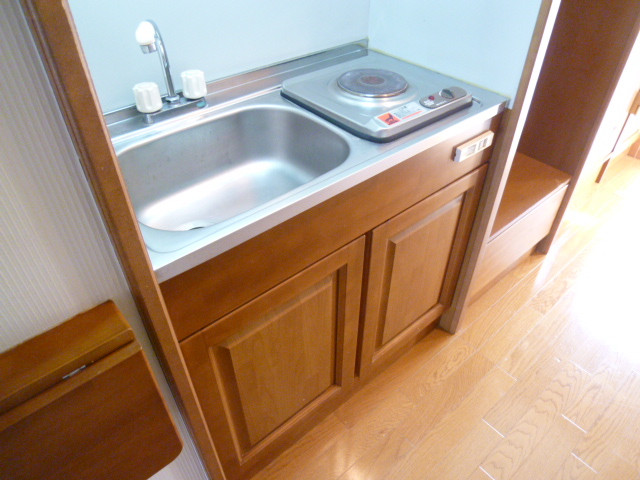 Kitchen. It comes with an electric stove.