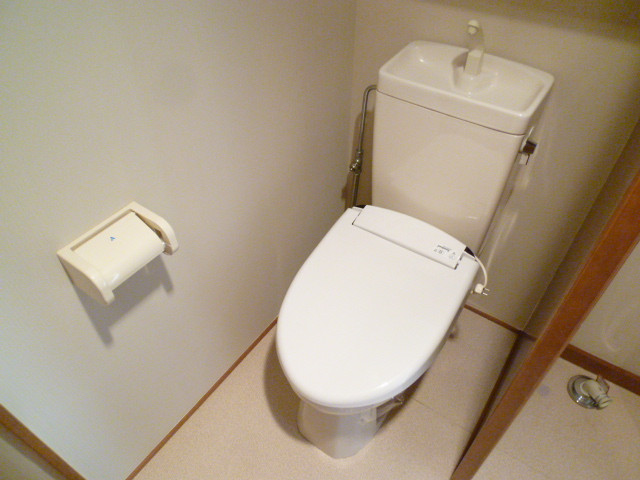 Toilet. Western style