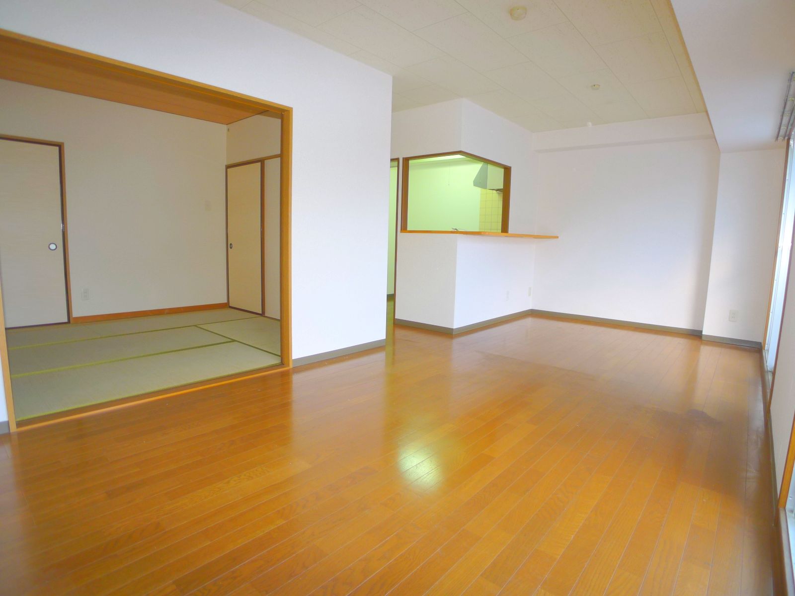 Living and room. LDK