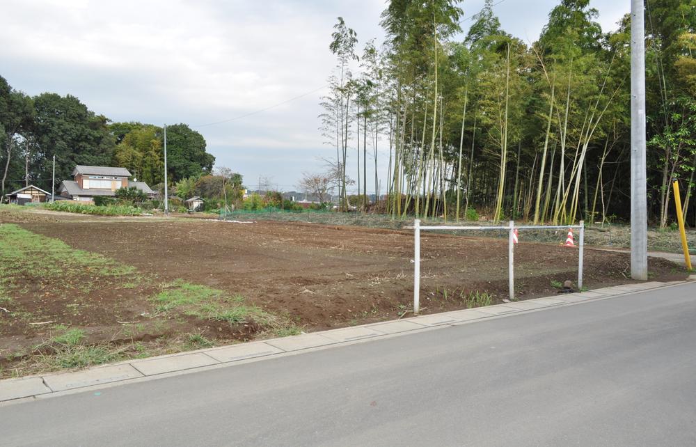 Local photos, including front road. Green is a rich residential area (November 2013) Shooting