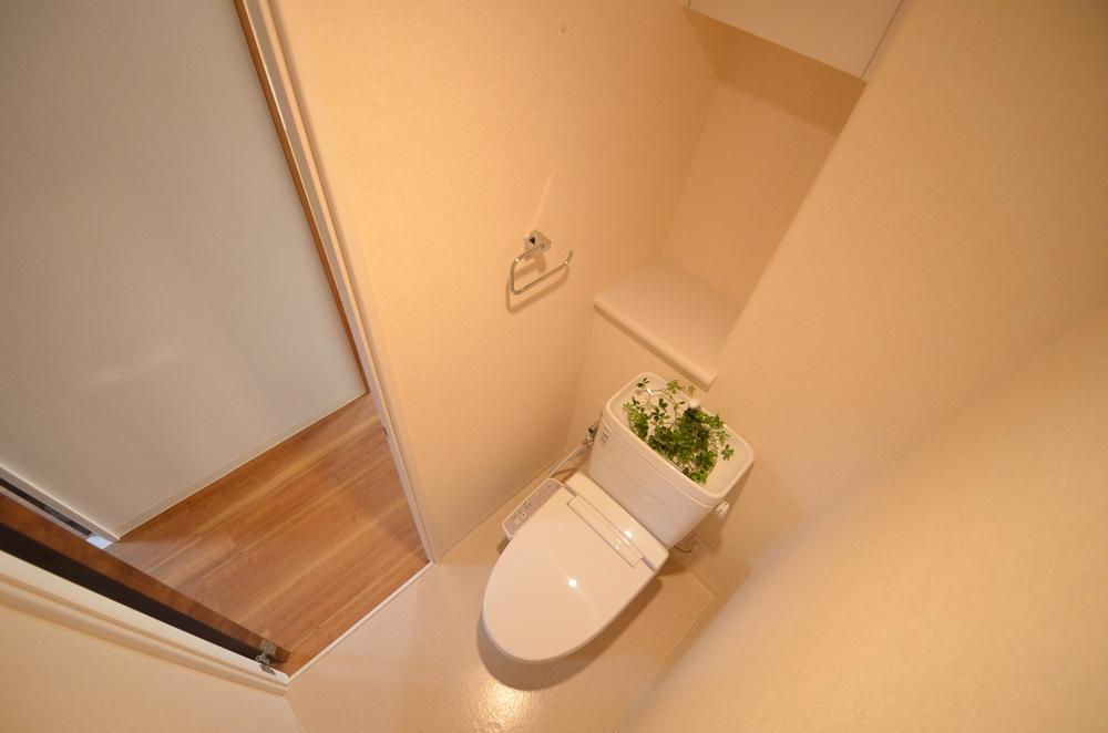 Toilet. Local (September 2012) shooting