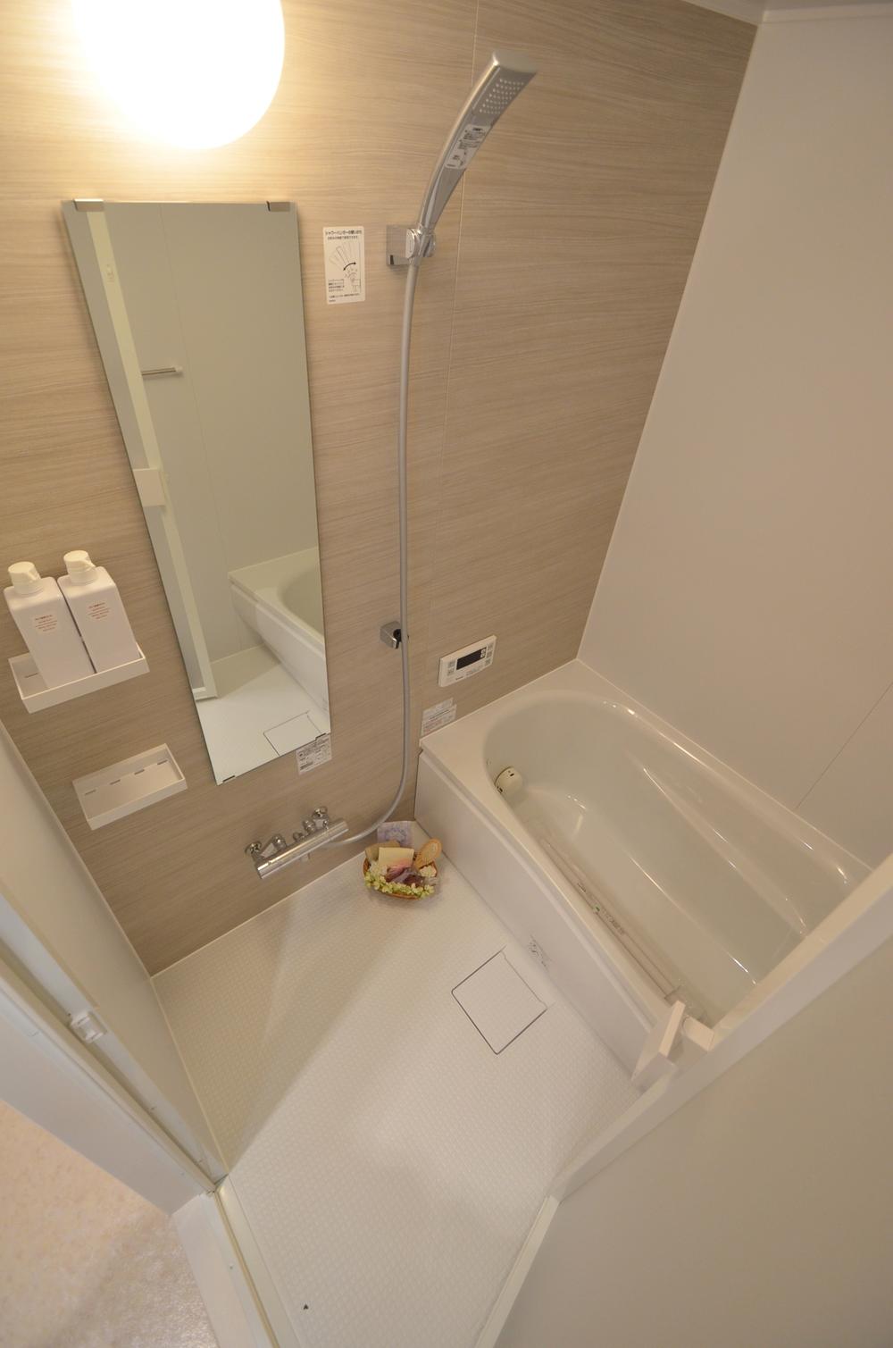 Bathroom. Local (September 2012) shooting