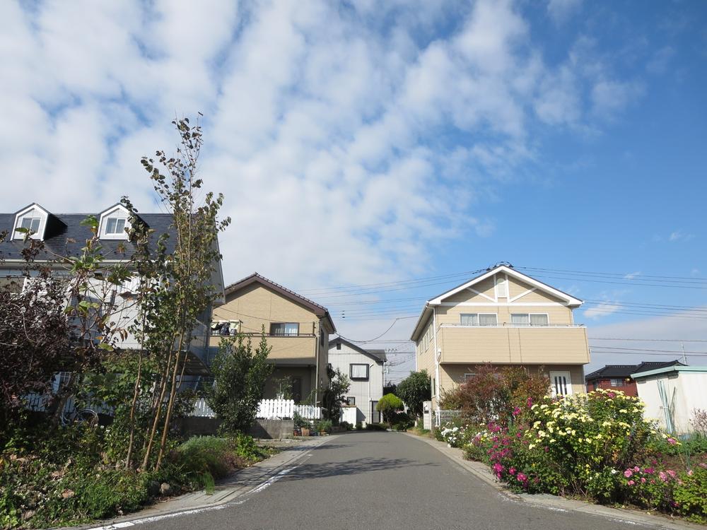 Local photos, including front road