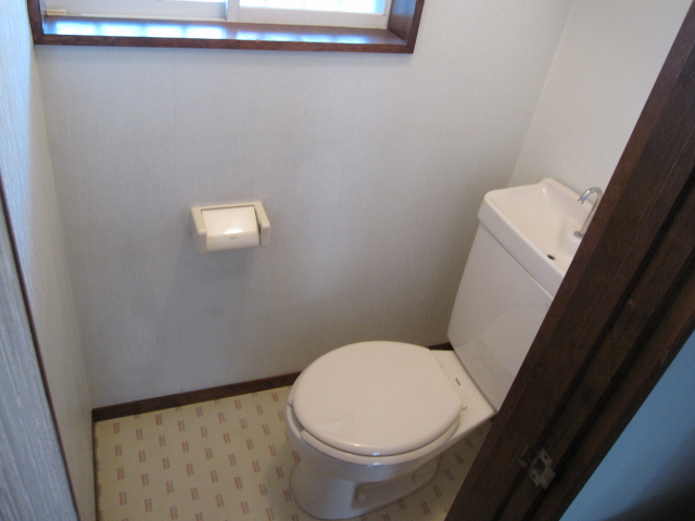 Toilet. Small window with