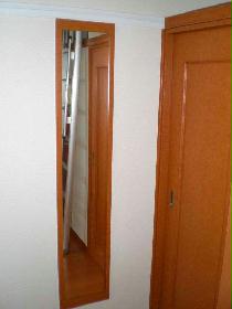 Other. Full-length mirror