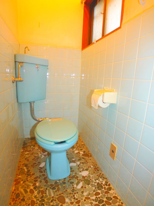 Toilet. There are window